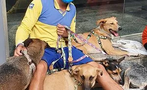 Mailman Takes Selfies With Every Animal That He Befriends While On His Job, And Here Are The Newest 30 Photos