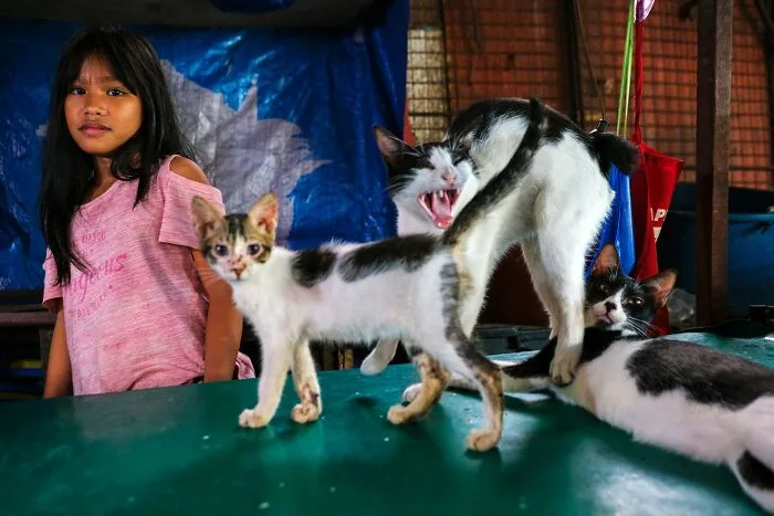 30 Times This Photographer Captured The Unfiltered Moments Of Daily Life (New Pics)