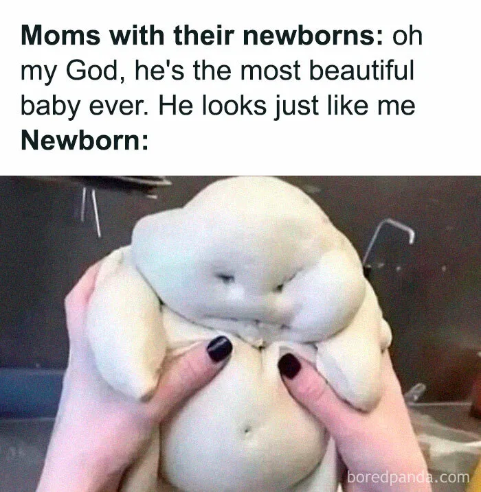 50 Funny Instagram Memes That Might Make You Chuckle