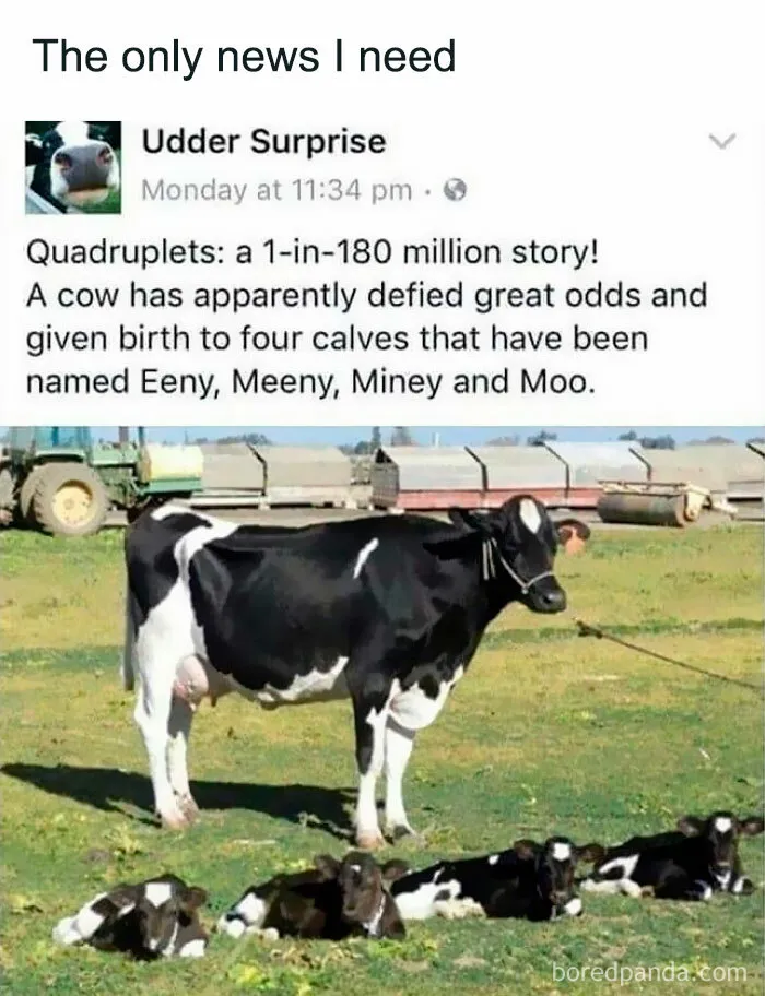 50 Hilarious Memes That Combine The Internet's Two Most Favorite Things - Animals And Humor