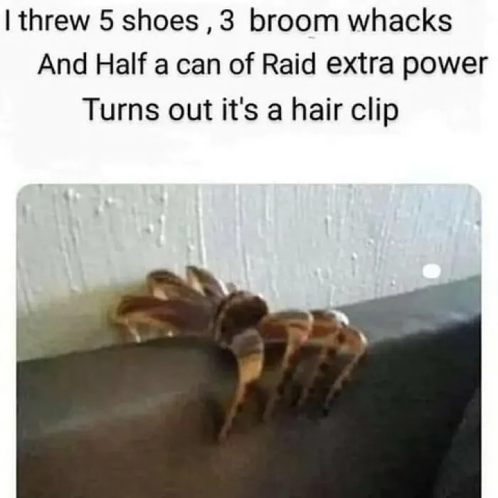 50 Funny Instagram Memes That Might Make You Chuckle