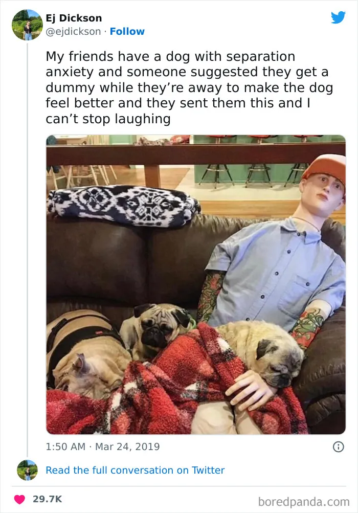 This Facebook Page Is All About Relatable Dog Memes, Here Are 50 Of The Best Pics