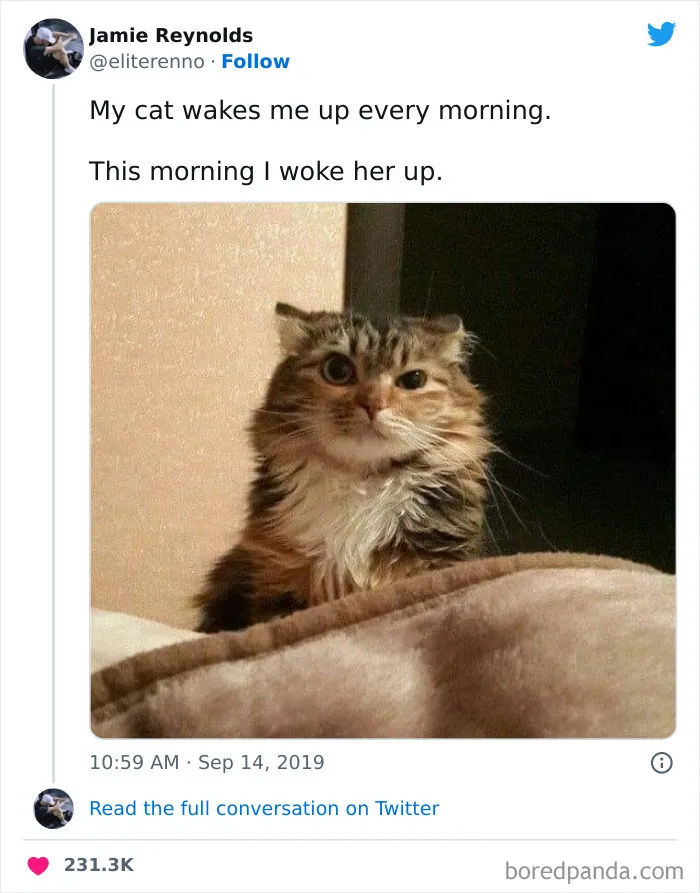 50 Hilarious Memes That Combine The Internet's Two Most Favorite Things - Animals And Humor