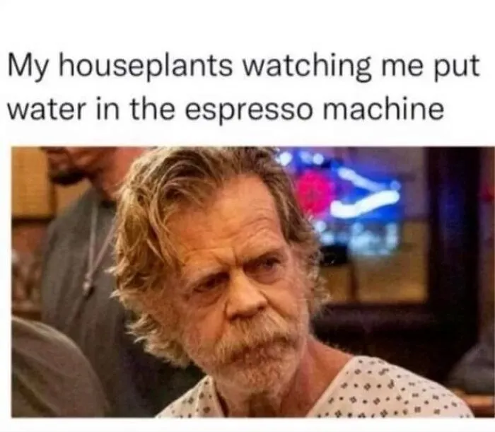 50 Funny Instagram Memes That Might Make You Chuckle