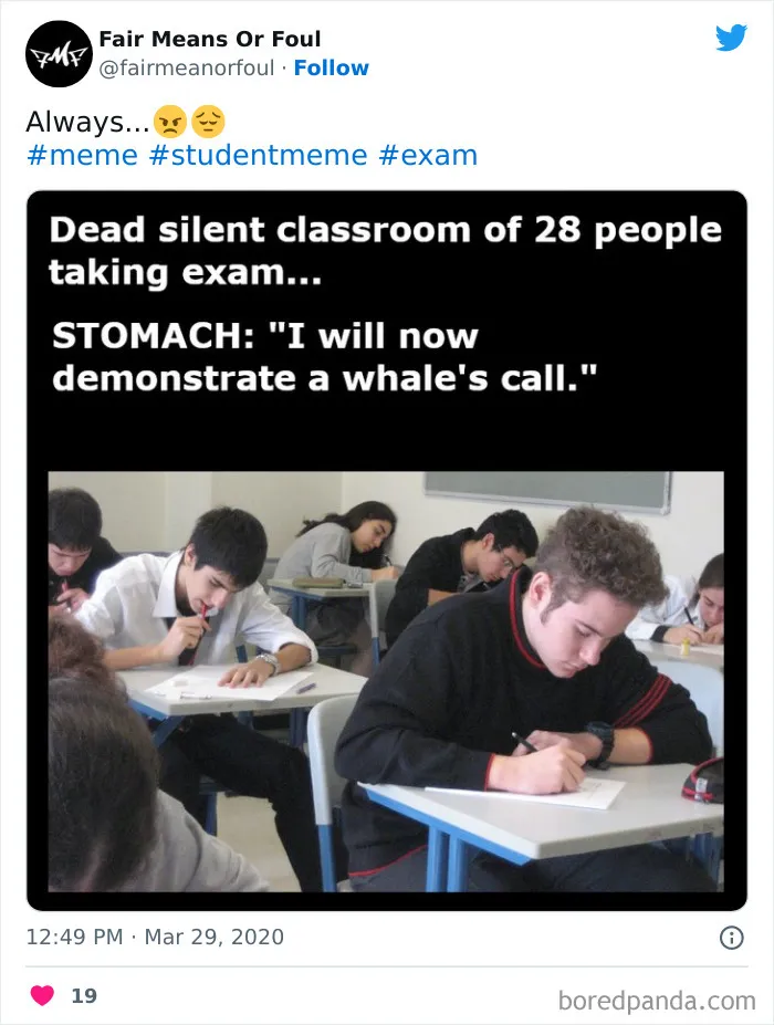 67 Funny Student Jokes That Pretty Much Sum Up Student Life