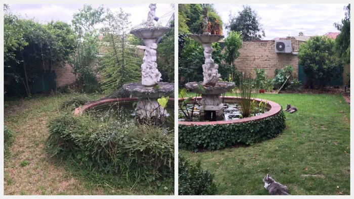 Our Rental Garden - Landlord (Before) vs. Tenant/Us (After)