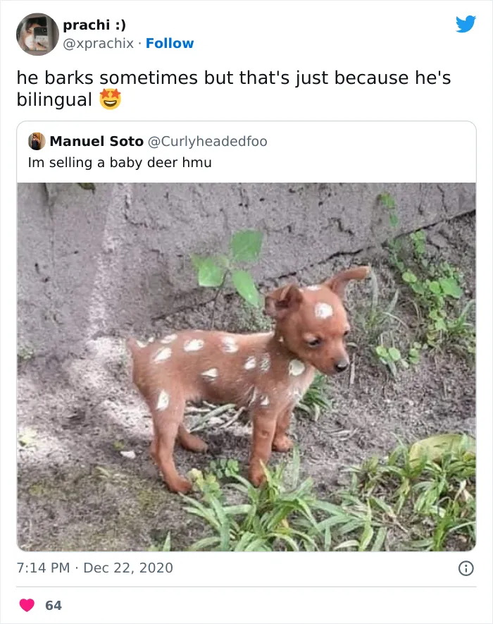He’s Bilingual