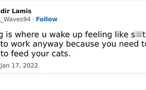 105 Relatable Cat Memes You'll Probably Wish You Could Tag Your Cat In