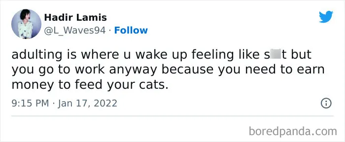 Cats Before Everything