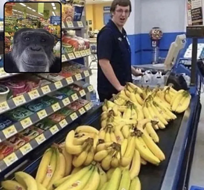 50 Hilarious Memes Shared Every Hour By This Twitter Account