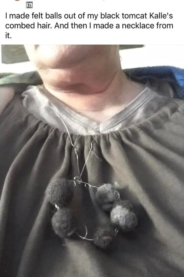 I'm Curious If She Strung It Together With Lost Whiskers