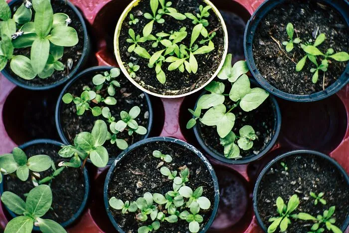 30 Money-Saving Hacks That Seem To Work For Everyone Except These Folks, As Listed Online