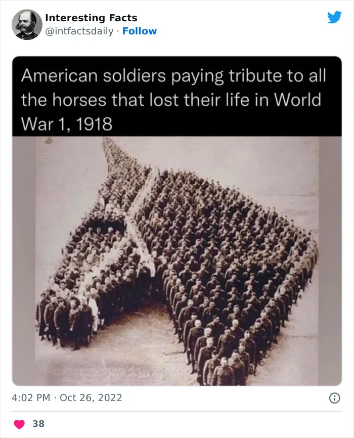 30 Random Facts About Everything, Shared By A Twitter Account Called "Interesting Facts"