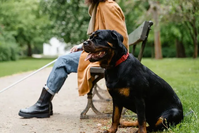 30 Life-Saving Tips To Remember In Times Of Crisis, According To Folks Online