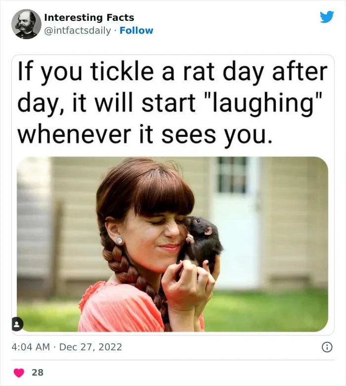 30 Random Facts About Everything, Shared By A Twitter Account Called "Interesting Facts"