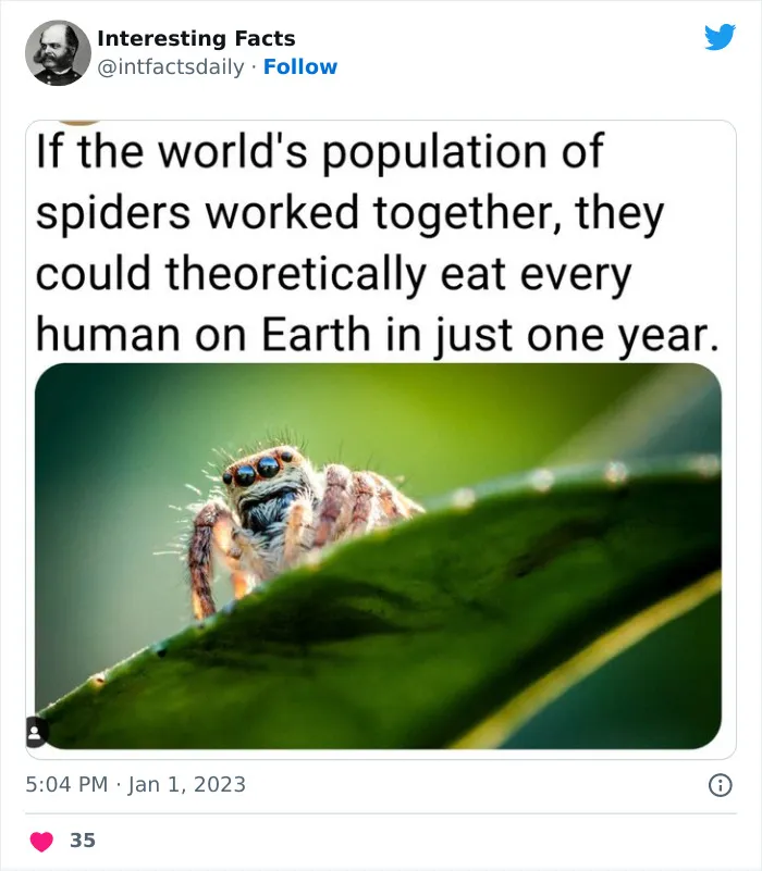 30 Random Facts About Everything, Shared By A Twitter Account Called "Interesting Facts"