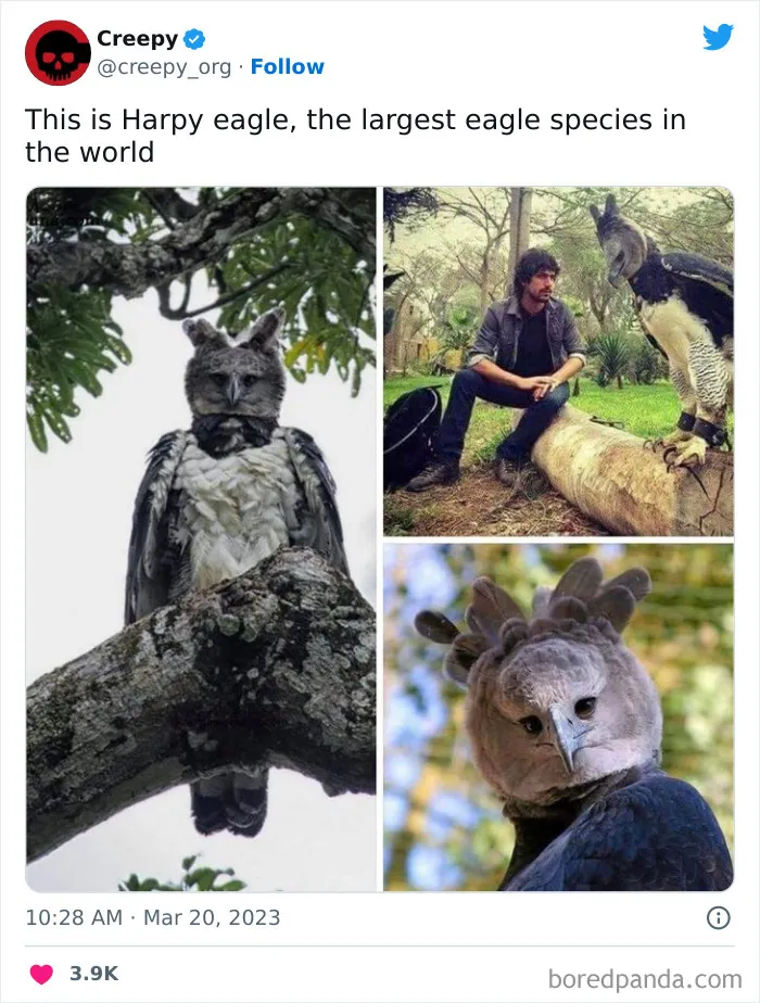 This Twitter Account Is About All Things Creepy, And Here Are 40 Of Their Most Chilling Posts