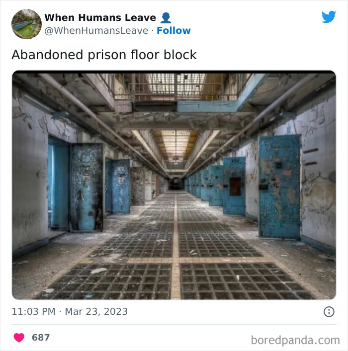 "When Humans Leave, Nature Starts To Take Back": 35 Abandoned Places Lost In Time