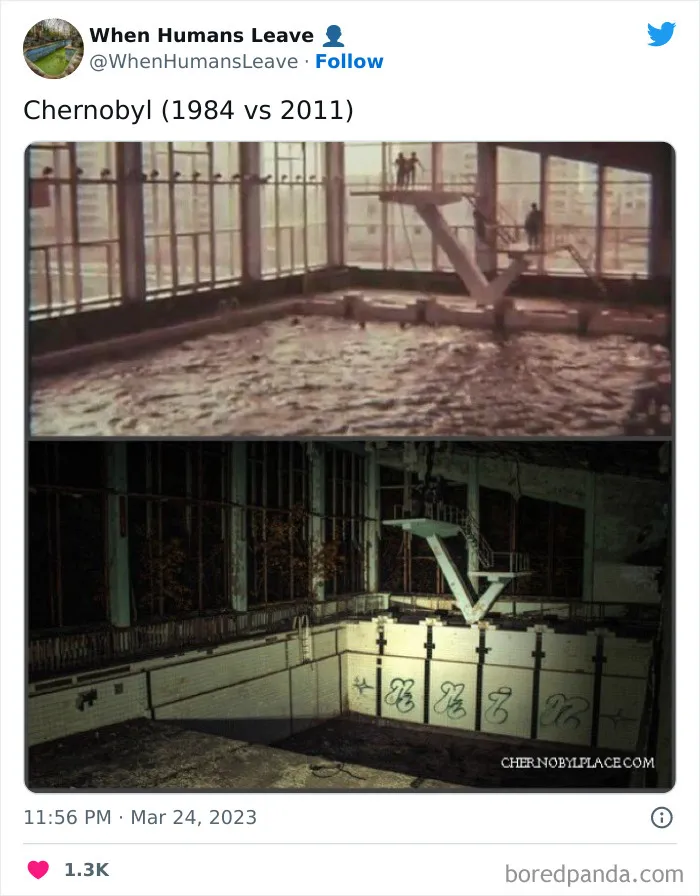 "When Humans Leave, Nature Starts To Take Back": 35 Abandoned Places Lost In Time