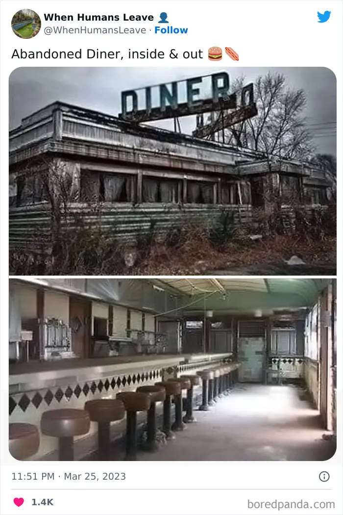 "When Humans Leave, Nature Starts To Take Back": 35 Abandoned Places Lost In Time