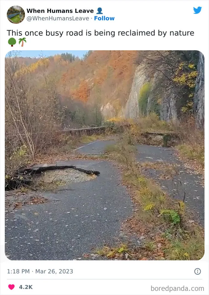 "When Humans Leave, Nature Starts To Take Back": 35 Abandoned Places Lost In Time