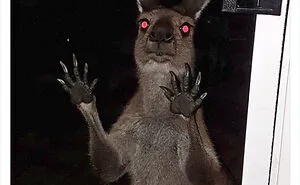 50 Times Animals Acted So Hilariously Devious, They Ended Up Being Shared On The "Animals Going Goblin Mode" Twitter Account (New Pics)