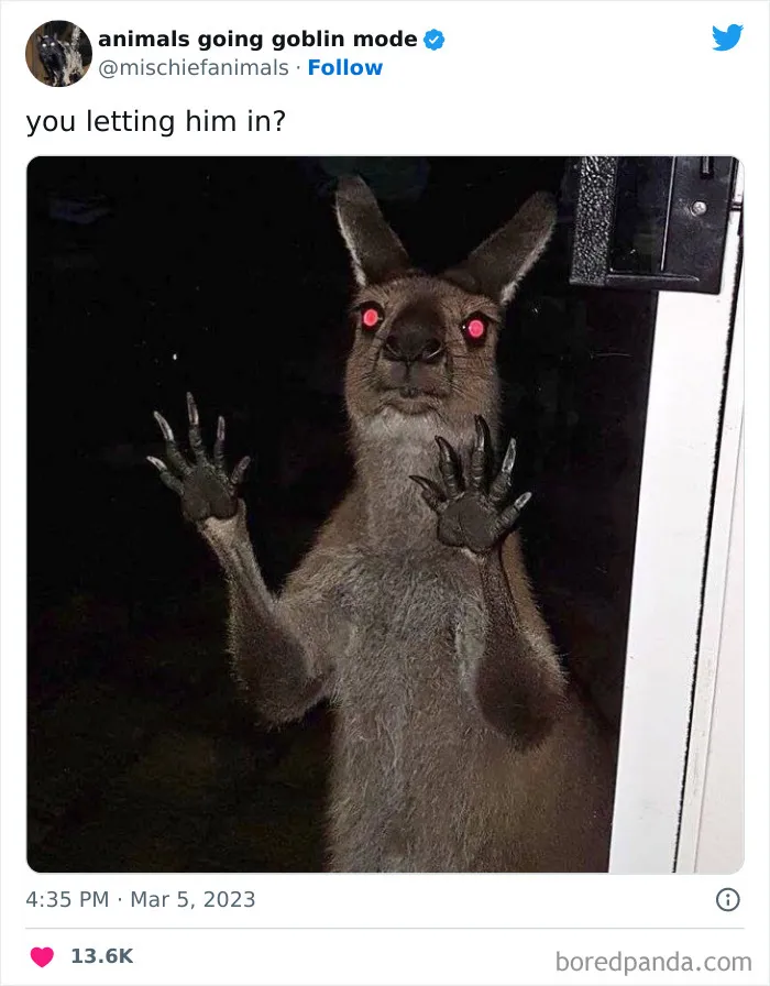 Goblin-Mode-Animals