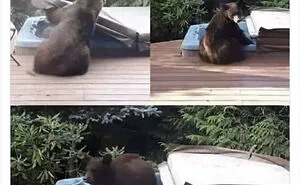 50 Hilarious Memes That Combine The Internet's Two Most Favorite Things - Animals And Humor