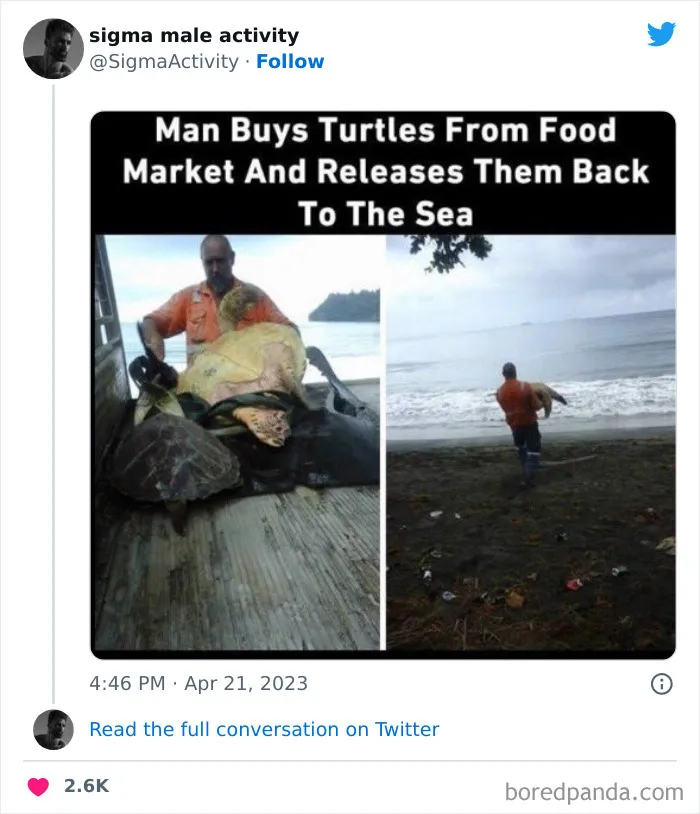 50 Examples Of "Sigma Males" Shared By This Twitter Account