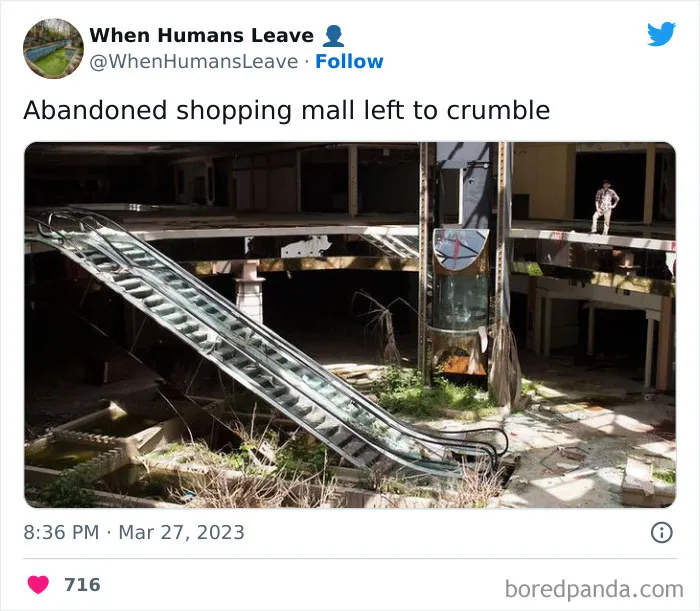 "When Humans Leave, Nature Starts To Take Back": 35 Abandoned Places Lost In Time