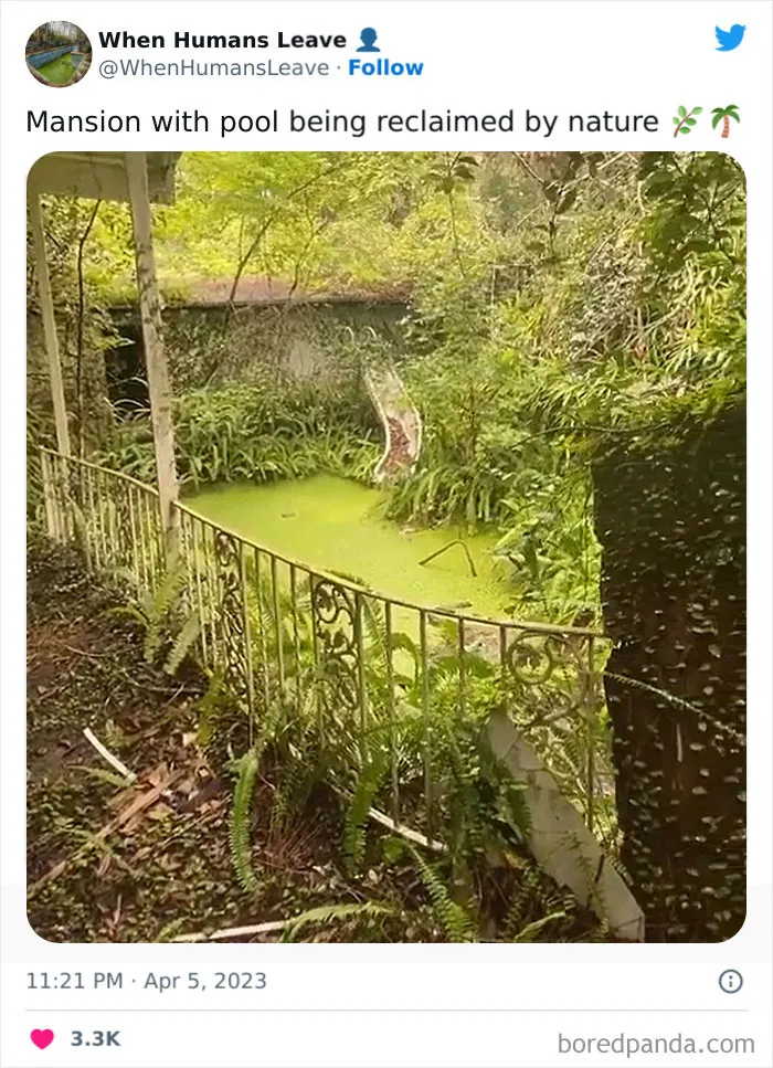 "When Humans Leave, Nature Starts To Take Back": 35 Abandoned Places Lost In Time