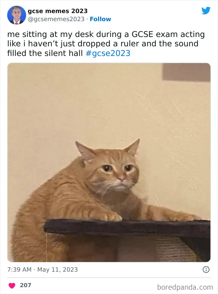 67 Funny Student Jokes That Pretty Much Sum Up Student Life
