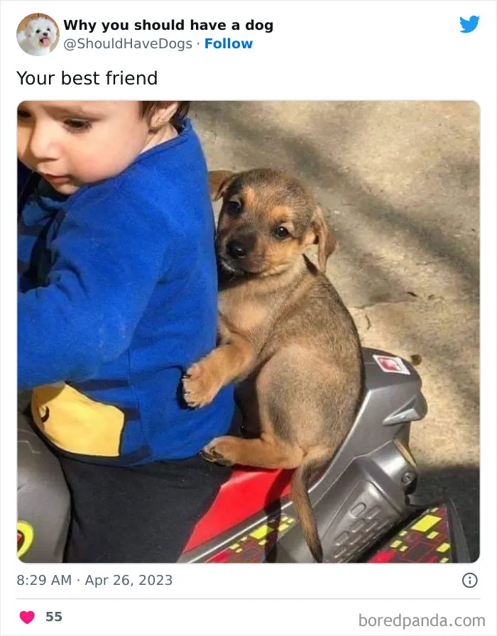This Twitter Account Shares Pictures That Show Your Life Is Never Boring When You Have A Dog (50 Pics)