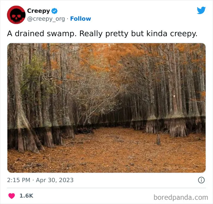 This Twitter Account Is About All Things Creepy, And Here Are 40 Of Their Most Chilling Posts