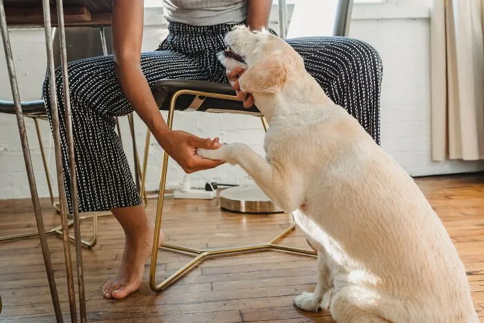 30 Things That These People Always Notice Because Of The Nature Of Their Jobs, As Pointed Out By People Online