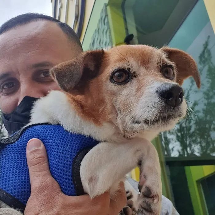 Mailman Takes Selfies With Every Animal That He Befriends While On His Job, And Here Are The Newest 30 Photos