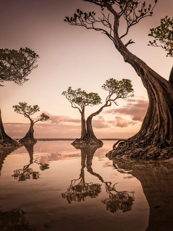 Dawn At Walakiri Beach - Hsiang Hui, Sylvester Wong