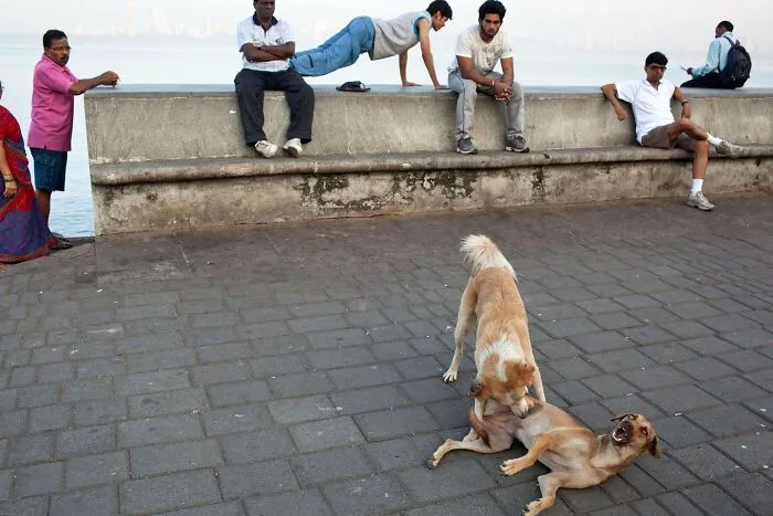 30 Times This Photographer Captured The Unfiltered Moments Of Daily Life (New Pics)