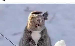50 Posts For You To Scroll Through While Sipping Tea