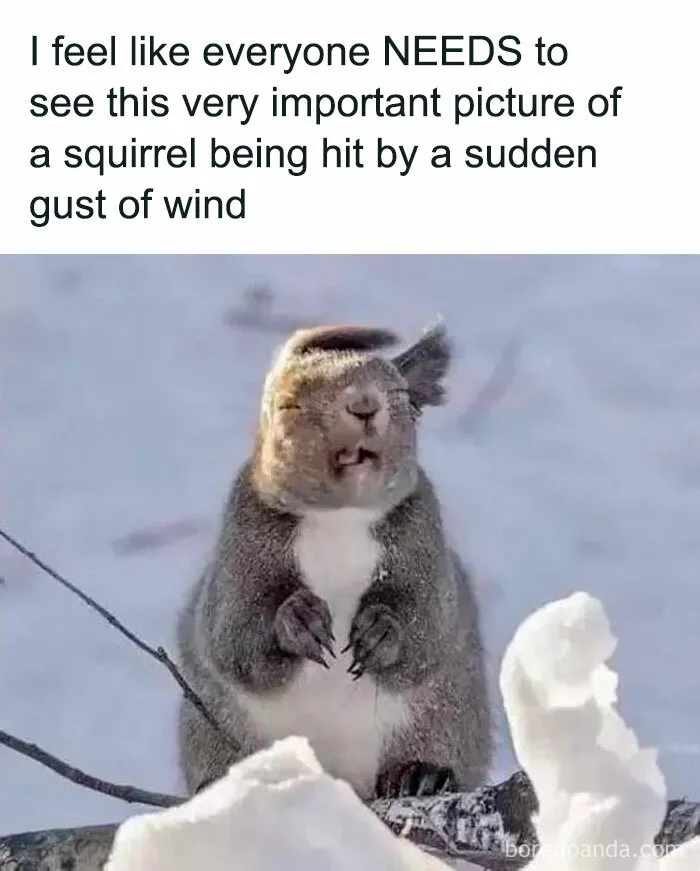 Very Important News: