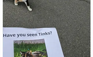 ‘No Context Idiots’: 50 Times People Were So Unbelievably Silly