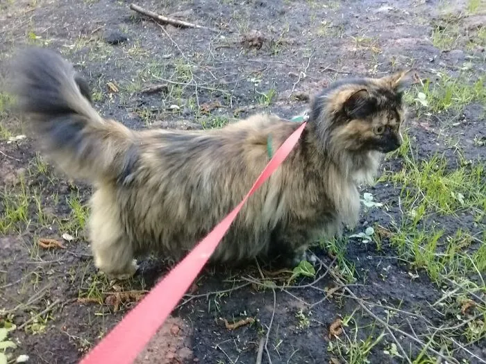 Meri On The Hunt