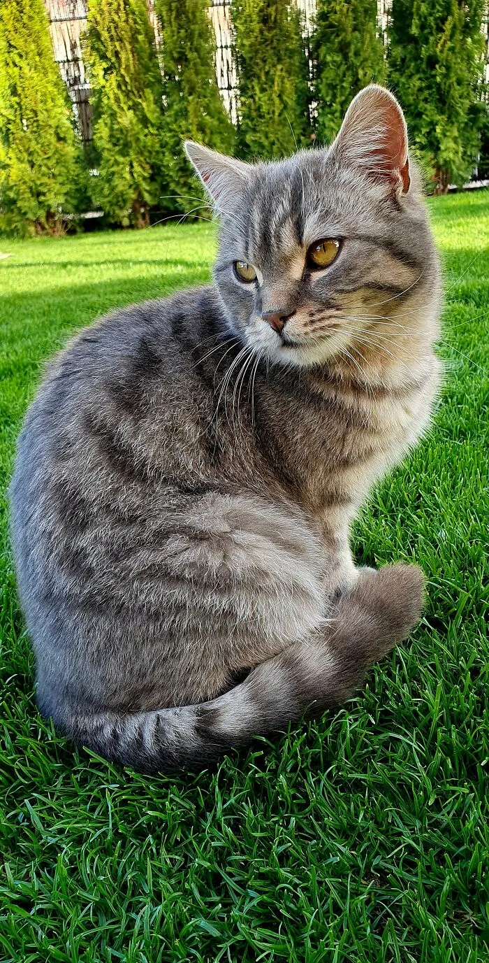 Our Darling