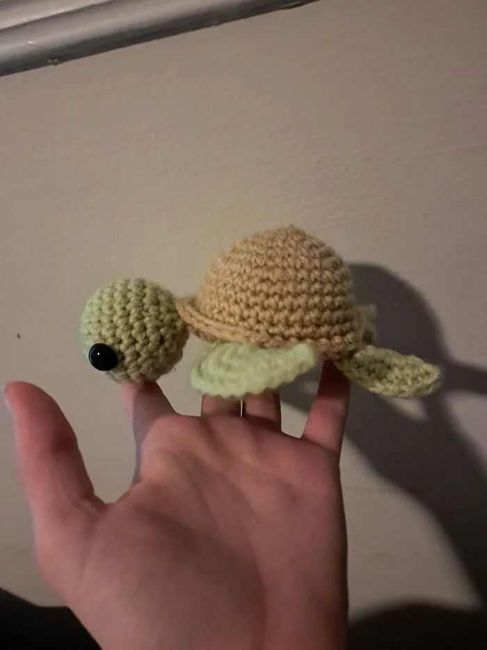 Turtle Power! 🐢