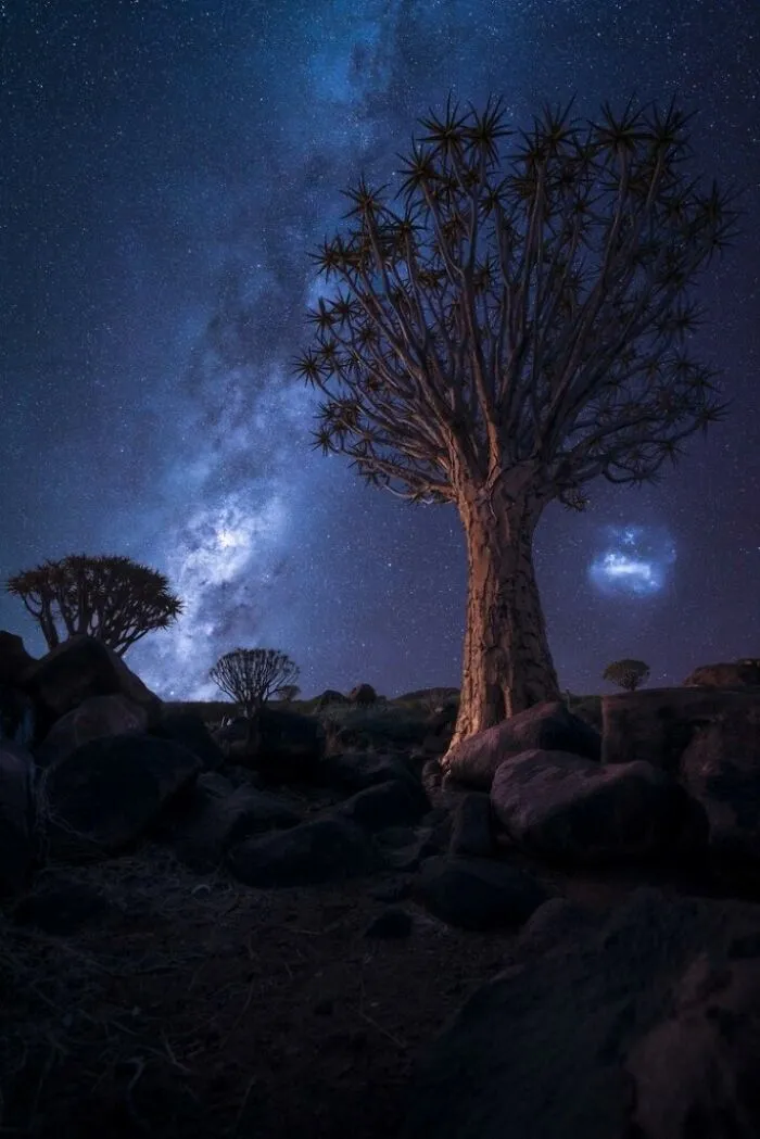 “Quiver Dreams” – Peter Hoszang