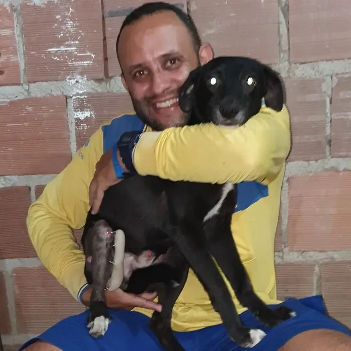 Mailman Takes Selfies With Every Animal That He Befriends While On His Job, And Here Are The Newest 30 Photos