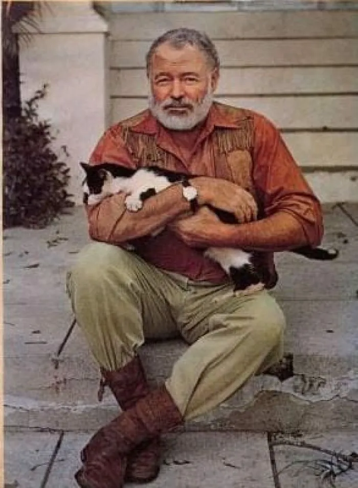 Ernest Hemingway On The Steps Of His Cuban Estate Finca Vigia, Nuzzling One Of His Beloved Polydactyl Cats; San Francisco De Paula, Circa 1954