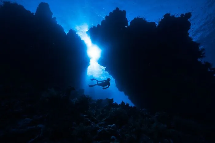 30 Frightening Scientific Facts That Folks In This Online Group Had The Misfortune To Learn