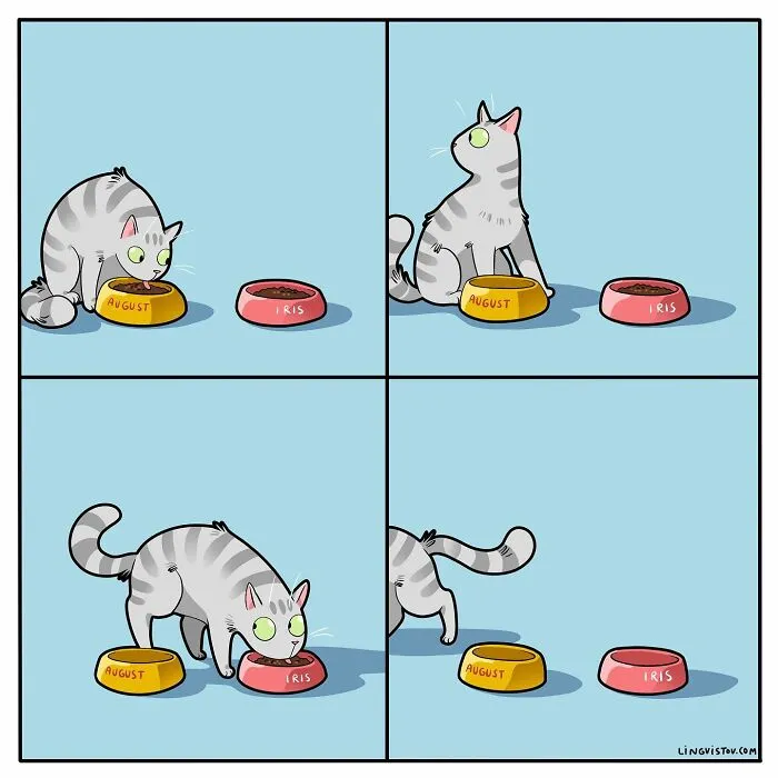 Esta artista ilustra cómo es vivir con un gato (25 nuevos cómics)