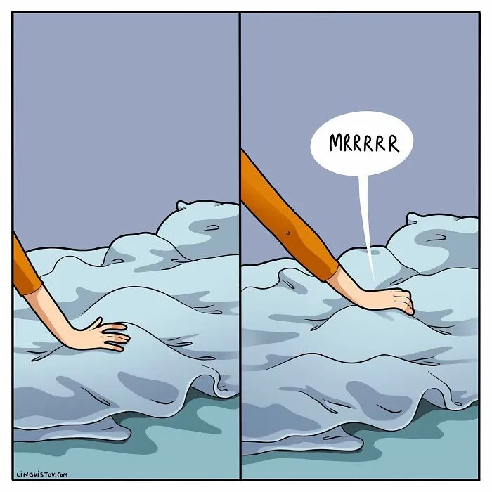 Esta artista ilustra cómo es vivir con un gato (25 nuevos cómics)